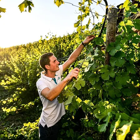 Winzerhof Moertinger Lejlighed *