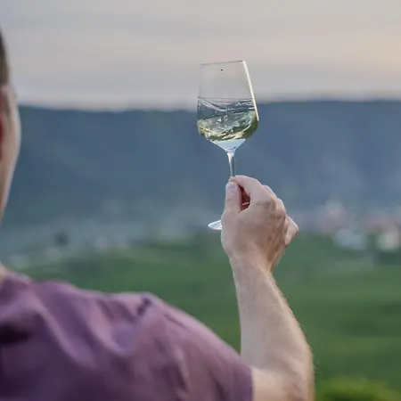 Lejlighed Winzerhof Moertinger *