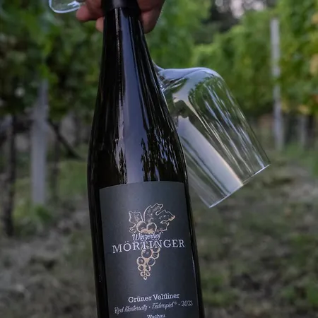 Winzerhof Moertinger 公寓