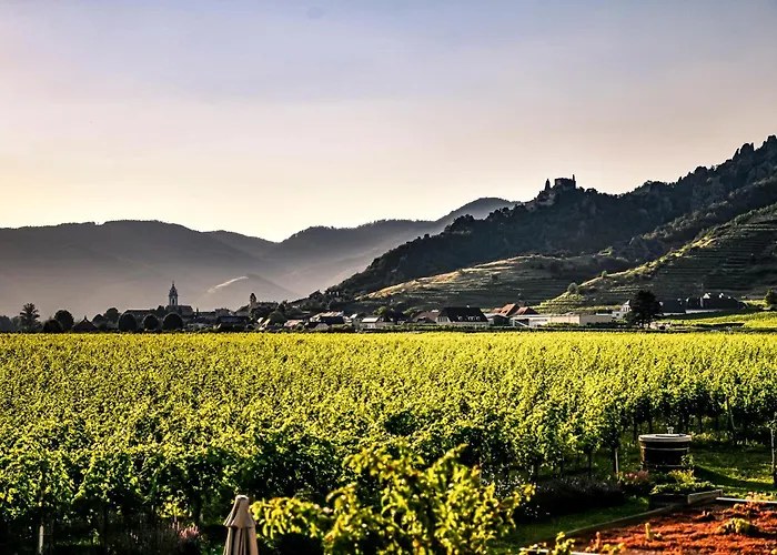 公寓 Winzerhof Moertinger *