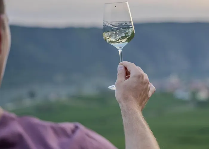 Lejlighed Winzerhof Moertinger *