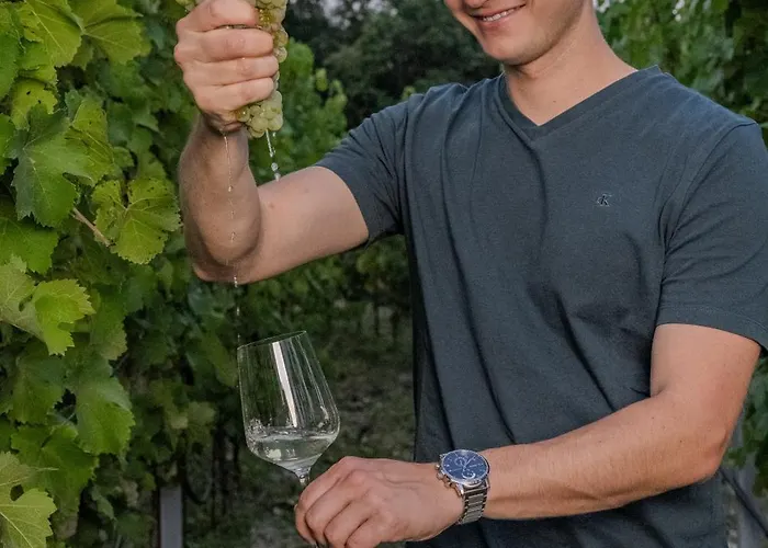 Winzerhof Moertinger 公寓 *